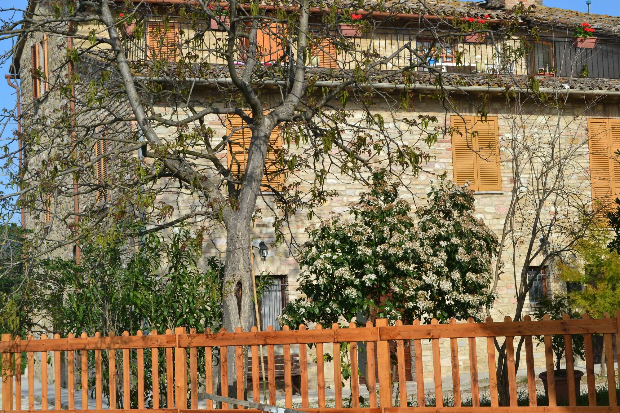 Camere I Monelli Assisi Exterior photo